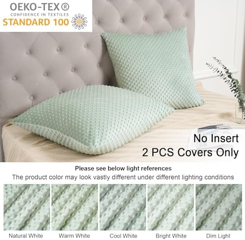 PHF Minky Dot Euro Sham Covers 26"x 26", 2 Pack Soft Cozy Minky Bubble Real Velvet Throw Pillow Covers, No Insert, Home Decorative Euro Pillow Cases for Couch Sofa Bed, Sage Green