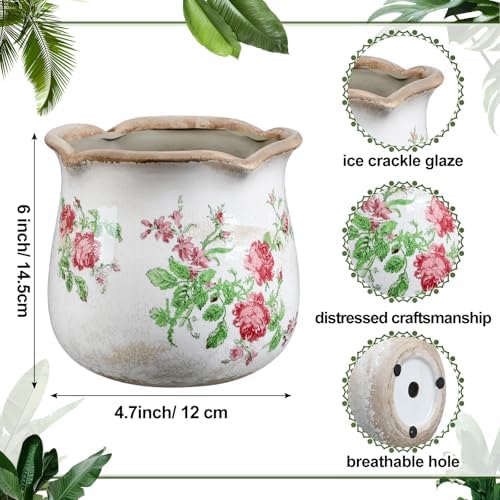 Newtay 6 Inch Vintage Ceramic Planters Crackle Glaze,Classic