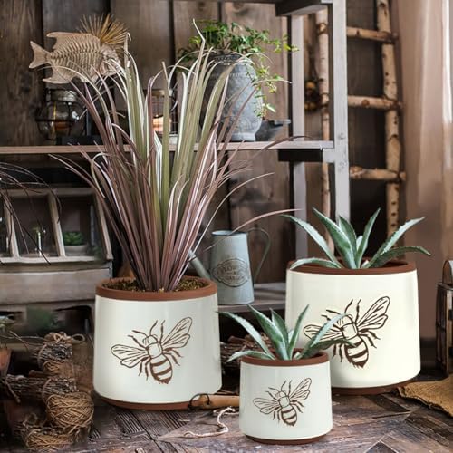 Terracotta Pots, 8+6+4 Inch Plant Pots, 3 Pcs with Drainage Holes