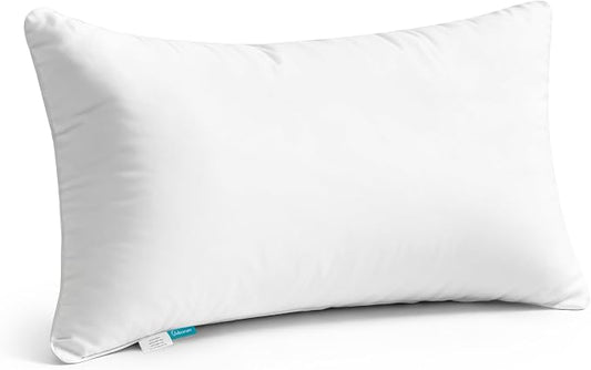 Oubonun 12"x16" Throw Pillow Insert – Plush and Supportive Decorative Cushion with 100% Cotton Cover, for Couch, Sofa, Bed, Chair – Pack of 1