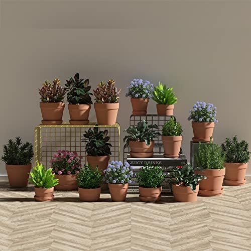 Fcacti 6.3 Inch Clay Pot for Plant with Drainage Hole - 6 Pack Large Terra Cotta Plant Pot, Ceramic Pottery Planter Cactus Flower Pots Succulent Pot, Terracotta Pot for Indoor Outdoor Plants