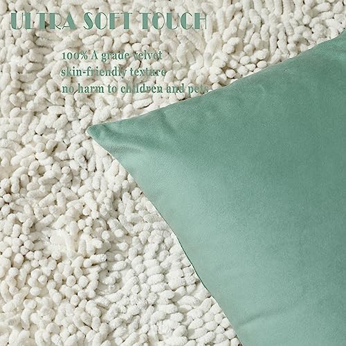 Stellhome Soft Velvet Throw Pillow Covers Square Decorative Cushion Covers for Spring Sofa Bedroom Bench, 18 x 18 inch (45 x 45 cm), Sage Green, Pack of 2