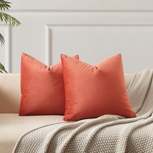JUSPURBET 22x22 Decorative Velvet Throw Pillow Covers Set of 2,Apricot