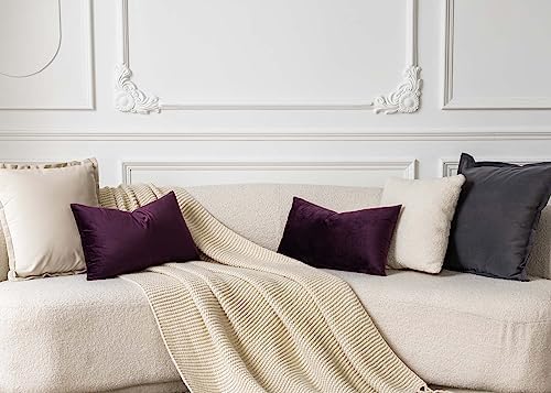 JUSPURBET 12x20 Lumbar Velvet Throw Pillow Covers Set of 2,Eggplant Purple