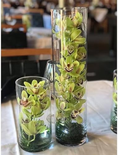 WGVI Quality Thick Clear Cylinder Glass Vase, 3" W x 5" H, Floral Container, Glass Candle Holder, Flower Vases, Wedding Centerpiece, Planter Terrarium, Table Top Home Décor Accent, 1 Piece