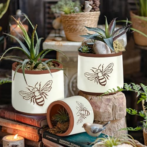 Terracotta Pots, 8+6+4 Inch Plant Pots, 3 Pcs with Drainage Holes