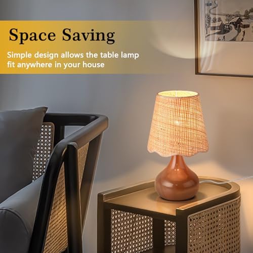 Ziqqeelam Brown Small Bedside Table Lamp for Bedroom, Farmhouse Bedroom Lamps for Nightstand, Rattan Lamp Shade Table Lamps for Small Spaces for Kitchen Counter, Home Office, Living Room, Kids Dorm