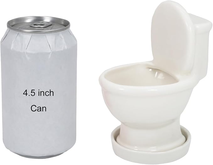 Gemseek Cute Ceramic Toilet Bowl Succulent Planter Pot with Drainage Tray