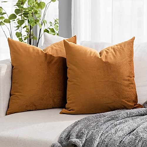 Burnt Orange Soft Velvet Throw Pillow Covers 20x20 inch Set of 2 for Sofa Couch Bed Living Room Decorative Luxury Solid Square Cushion Covers Case with Zipper