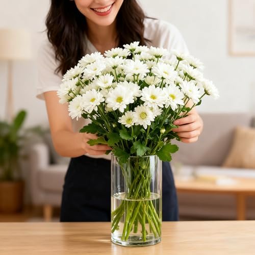 12pcs Thick Glass Cylinder Vase, 6 Inch Clear Glass Flower Vases | Floating Candle Holders for Centerpieces,Cylinder Vases Bulk Weighted Base for Wedding, Home & Dining Table Décor Gift