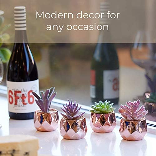 Nordik Faux Succulents -Rose Gold Ceramic Desk Plants for Office - Set of 4