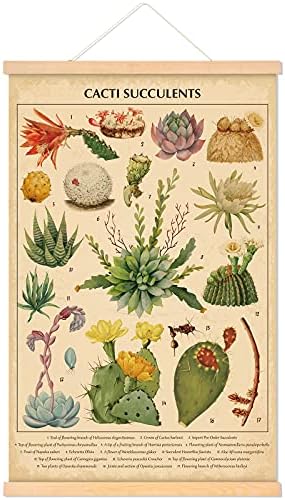 Tatuo Vintage Cacti Succulents Poster Cactus Wall Art Prints Rustic Cactus Hanging Wall Decor Hanging Canvas Frame Poster for Living Room Office Bedroom Dining Room Decor, 15.7 x 23.6 Inch