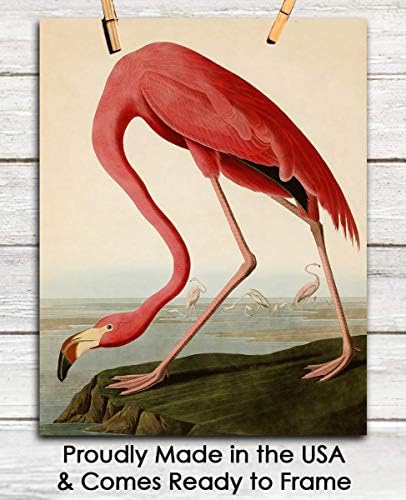 Vintage American Pink Flamingo Wall Art Print: 11x14 Unframed Bird Wall Decor Poster for Home, Office, Dorm, Farmhouse, Bedroom & Living Room - Creative Housewarming Idea for Bird & Nature Lovers