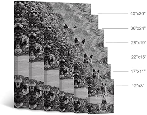 Smile Art Design Mindset is EverytingBlack and White Cat and Lion Reflection Motivational Wall Art Canvas Print Inspirational Entrepreneur Quote Office Living Room Decor Gift Ready to Hang 17x11