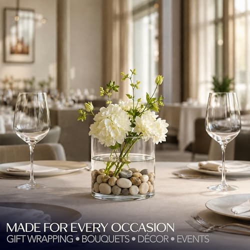 Royal Imports Glass Cylinder Vase 6"x 6" Tall (5.5" Usable Depth) | Cylinder Vases for Centerpieces for Tables, Floating & Votive Candle Holders Wedding Decor, Storage, Home & Event Decorations