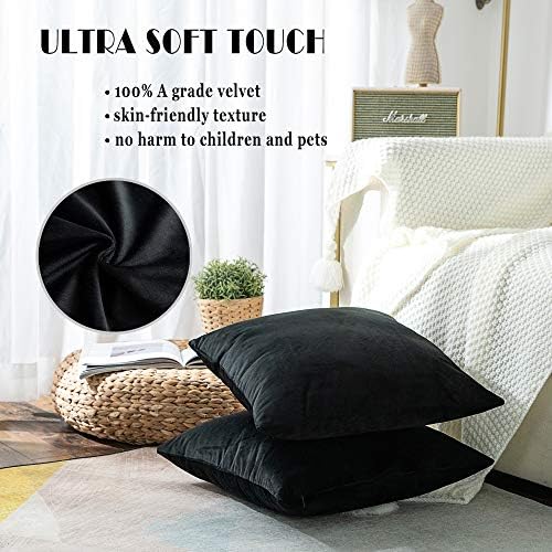 Stellhome Pack of 2 Cozy Velvet Pillow Covers Square Decorative Cushion Covers for Bed Couch Sofa Bench, 22 x 22 inch (55 x 55 cm), Black