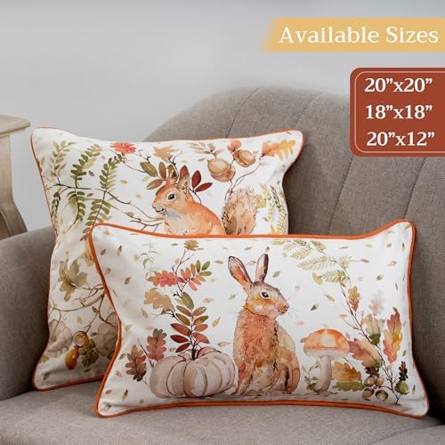 Maison d' Hermine Throw Pillow Covers 100% Cotton (12" x 20" - Pack of 1)