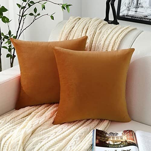 Jeneoo Set of 2 Comfy Soft Thick Velvet Throw Pillow Covers for Sofa Couch, Decorative Solid Square Cushion Cases for Living Room Car (20 x 20 Inches, Terracotta)