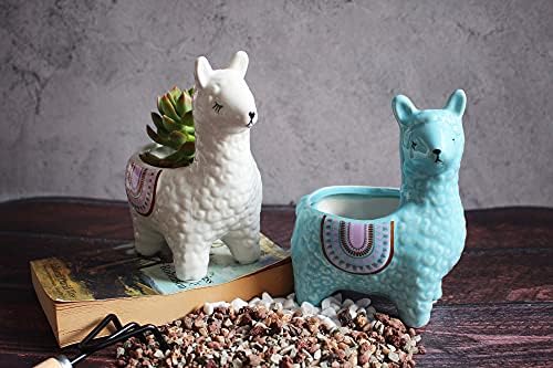 Alpaca Succulent Pots, 2 Pc. Set Animal Planter, Decorative Ceramic Planters for Indoor Home Decor Living Room Kitchen or Outdoor Garden, White and Turquoise