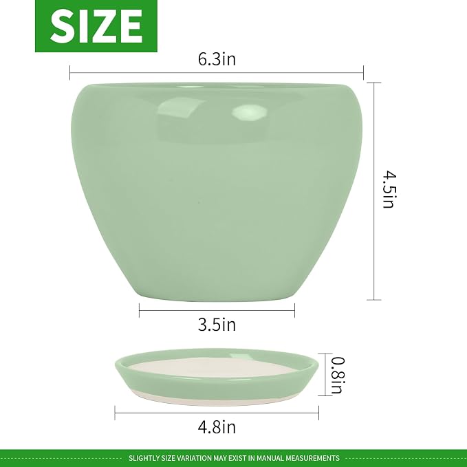 Deep Dream 6 Inch Plant Pots- Ceramic Planter Pot with Drainage Hole and Saucer, Round Flower Pot for Indoor Outdoor Succulent, Snake Plants and Cactus, Mint Green