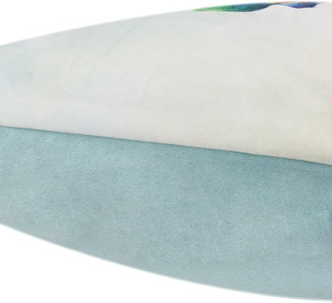 JWH Love Birds Throw Pillow Cover, Blue Green, 14x20 Inch | Velvet, Hummingbirds Flowers Print, Decorative Couch Bed Bedroom Car Chair Accent Pops
