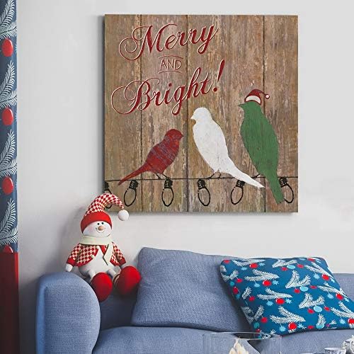Renditions Gallery Animal Canvas Wall Art Home Paintings & Prints Merry and Bright Colorful Christmas Birds Abstract Wall Hanging Artwork for Bedroom Living Room & Kitchen Decor - 40"X40" LT05