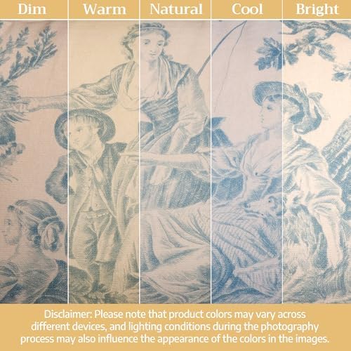 Maison d' Hermine Throw Pillow Covers 100% Cotton (18" x 18" - Pack of 1)