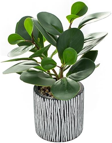 AlphaAcc Fake Plant 8" Black Clay Planter Farmhouse Bath Kitchen Decor