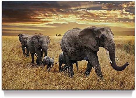 Elephant Canvas Picture Wall Art: Elephant Family Migrate Painting yellow Autumn Sunset Prints Panoramic Animals Wildlife Decorations For Living Room Bedroom Decor 36x24