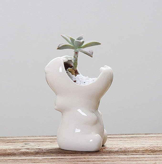 Succulent Pot Planters Outdoor Decor Outdoor Planter Plants Patio Balcony Yard Lawn Ornament Home Office Room Decor Gardening Gifts (5" Hippo)
