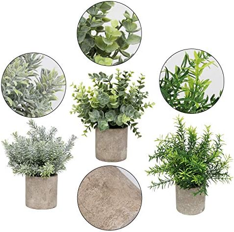 Mini Potted Plants Artificial Eucalyptus Boxwood Rosemary Faux Herbs Small House Plants 8.3"-9" Tall for Indoor Greenery Tabletop Décor Centerpiece (Sprayed Eucalyptus)