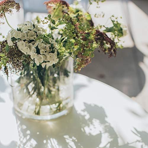 WGV Cylinder Vase, Diameter 5", Height 6", Clear Glass Floral Planter Container, Floating Candle Holder for Wedding Party Event Home Office Decor, 1 Piece