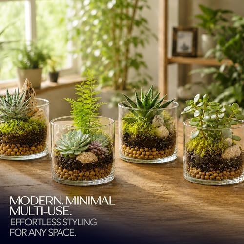Royal Imports Glass Cylinder Vase 6"x 6" Tall (5.5" Usable Depth) | Cylinder Vases for Centerpieces for Tables, Floating & Votive Candle Holders Wedding Decor, Storage, Home & Event Decorations