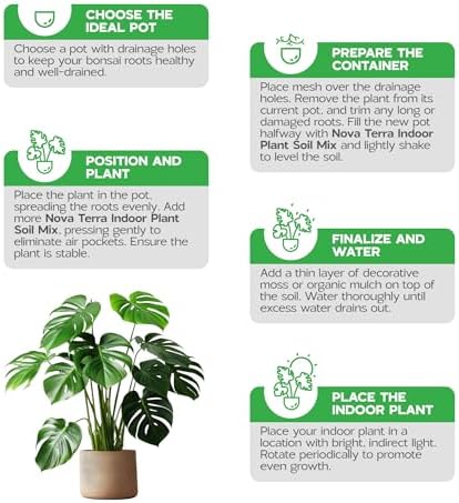 Novaterra Indoor Plant Potting Soil Mix for Houseplants, 2.4 Quarts