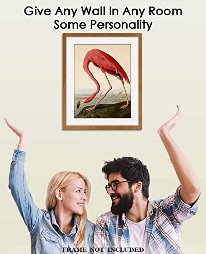 Vintage American Pink Flamingo Wall Art Print: 11x14 Unframed Bird Wall Decor Poster for Home, Office, Dorm, Farmhouse, Bedroom & Living Room - Creative Housewarming Idea for Bird & Nature Lovers