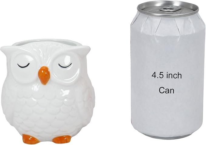 Gemseek Cute White Ceramic Owl Succulent Planter Pot with Drainage Tray
