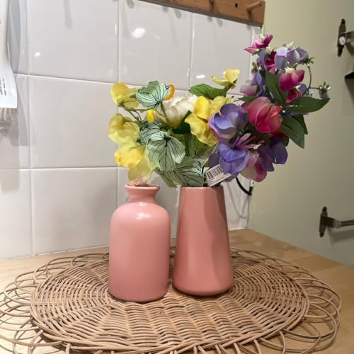 Set of 2- Classic Pink Ceramic Vases, Tall vases for Flowers, for Living Room Decorations, Home Decor, Modern Farmhouses, Ideal Shelf, Table, Bookshelf, Mantle, Pampas Grass