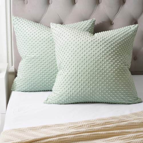 PHF Minky Dot Euro Sham Covers 26"x 26", 2 Pack Soft Cozy Minky Bubble Real Velvet Throw Pillow Covers, No Insert, Home Decorative Euro Pillow Cases for Couch Sofa Bed, Sage Green