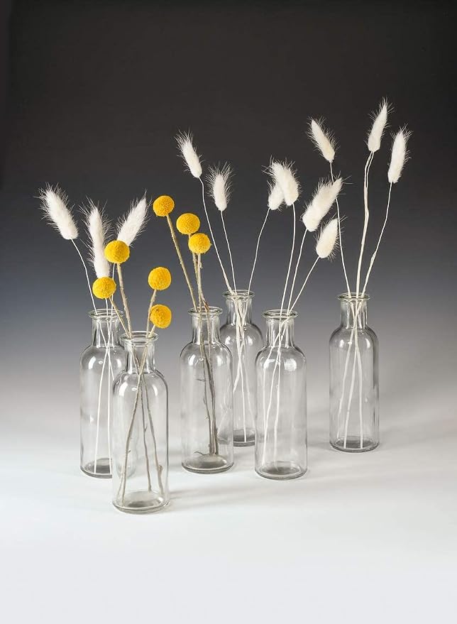 Serene Spaces Living Clear Glass Bud Vases – Vintage Apothecary Jars, Decorative Bottles for Weddings, Antique-Style Centerpieces, and Flower Arrangements - Set of 6 (6.5" Tall & 2" Diameter)
