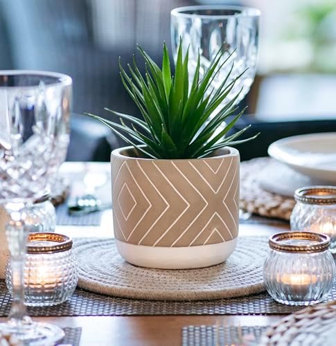 Kurrajong Farmhouse 8" high Artificial Plant in Pot - Small Faux Plant for Desk, Bathroom, Shelf & Coffee Table - Realistic Fake Plant for Home Decor