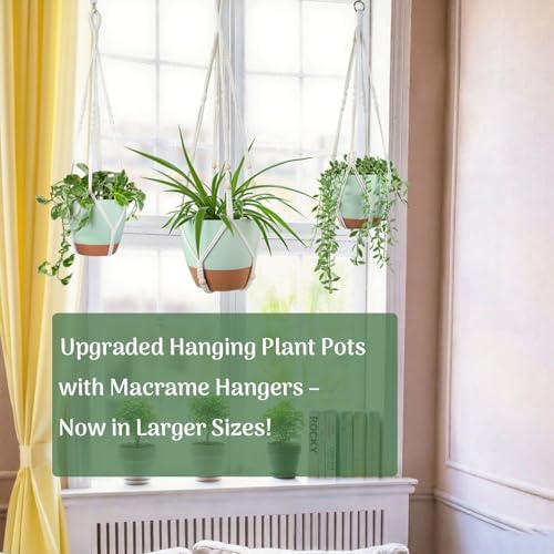 Bouqlife Large Hanging Planters with Macrame Plant Hangers for Indoor Outdoor Plants 3 Set 10" / 8" / 7" Self Watering Pots Hanging Baskets Flower Pot Holders 3 Different Size Green Large