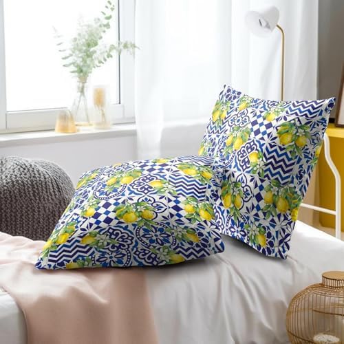 Lemon Mexican Tilt Pillow Covers 16x16 Inch Set of 2 Lemon Decor Italian Gifts Throw Pillow Cases Spring Summer Party Holiday Decorative Cushion Covers for Couch Bed Sofa Home Decor