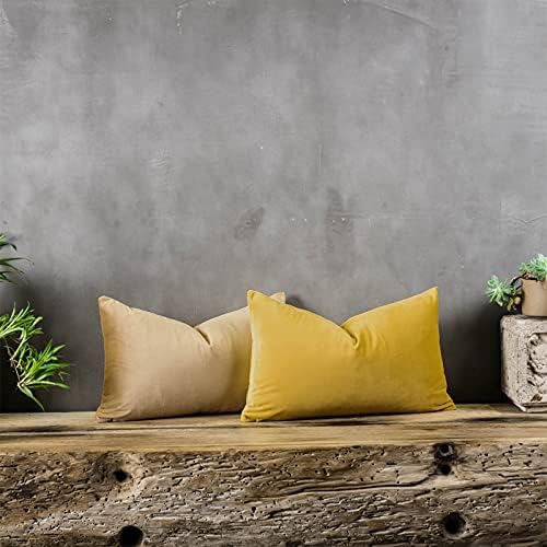 Lemon Decorative Lumbar Velvet Throw Pillow Covers 12x20 inch Set of 2 with Zipper Luxury Soft Solid Rectangle Cushion Covers Case for Sofa Couch Bed Living Room