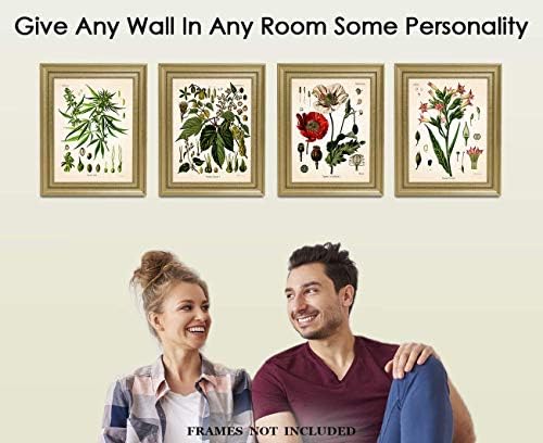 Vintage Psychoactive Plants Botanical Wall Art - Give Your Home A Touch of Elegance With Plant Pictures Wall Art, Unframed Set of 4, 8x10Botanical Decor Poster Prints