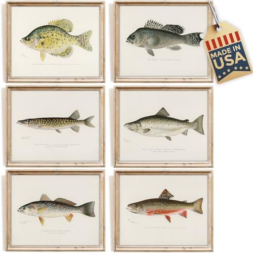 DREAM BIG PRINTABLES Vintage Fish Species Art Prints (Set of 6) - Unframed - 8x10 | Fishing Wall Decor for Fisherman
