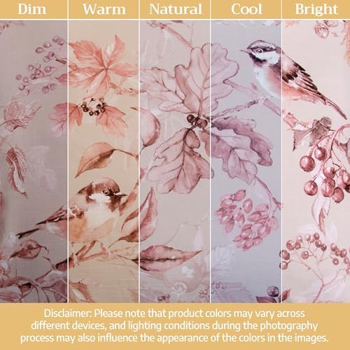 Maison d' Hermine Throw Pillow Covers 100% Cotton (20" x 20" - Pack of 1)