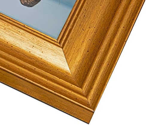 LaVie Home 11x14 Picture Frames (1 Pack, Gold) Photo Frame with Plexiglass for Wall Mount Display