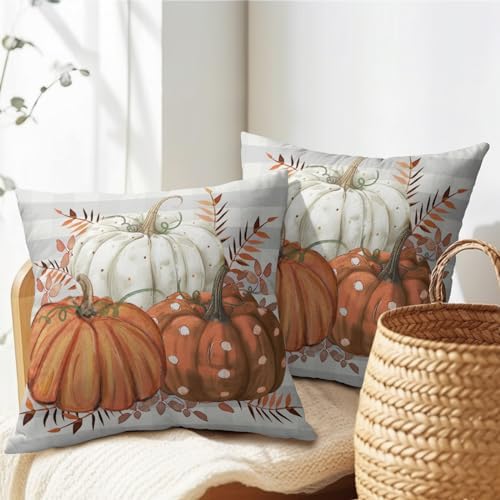 Fall Pumpkins Outdoor Pillows 20x20 Inch Set of 2 Autumn Harvest Pumpkin Pillowcase Buffalo Plaid Maple Leaves Decorative Throw Cushion Cover for Thanksgiving Seasonal Home Couch Porch Patio Decor