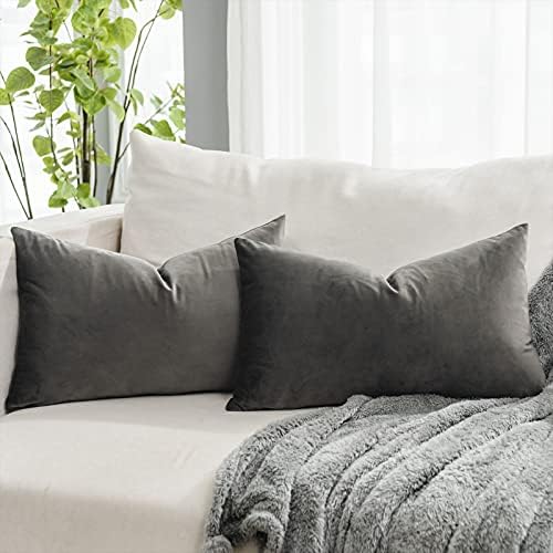 Ash Soft Lumbar Velvet Throw Pillow Covers 16x24 inch Set of 2 for Sofa Couch Bed Living Room Decorative Luxury Solid Rectangle Cushion Covers Case with Zipper