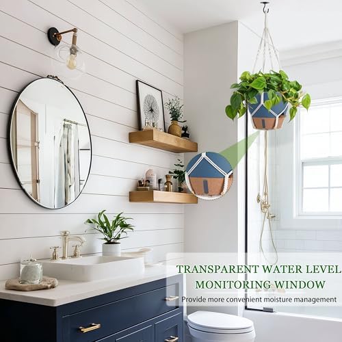 10 Inch Self Watering Hanging Planters for Indoor Plants, 2 Pack